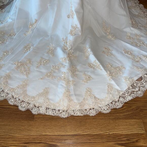 Stunning David’s Bridal Embroidered Mesh Overlay Gown! - Picture 6 of 9